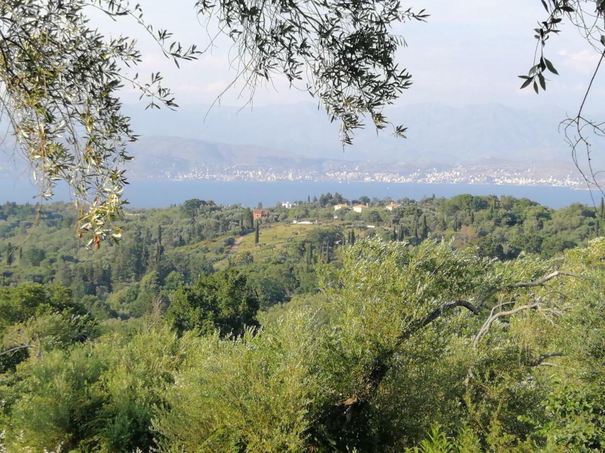 Olive Grove Deluxe apartment Agnítsini Buitenkant foto